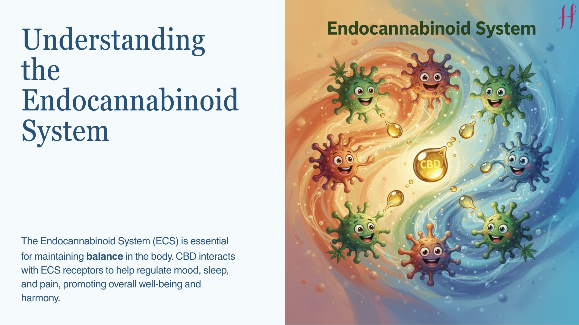 Common uses of CBD oil, including stress relief, restful sleep, and aches relief.